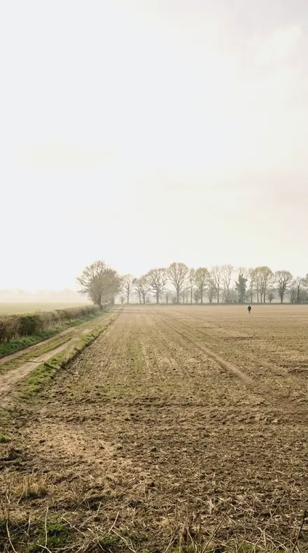 Clean Snow applied to field mist