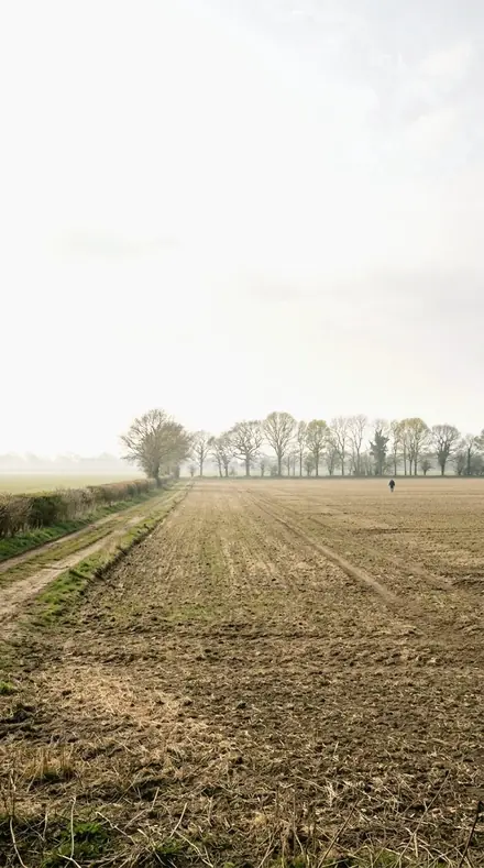 Pale Drift applied to field mist