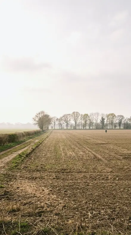 Snow Glare applied to field mist