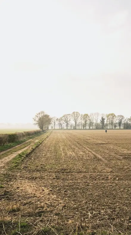 Bright Freeze applied to field mist