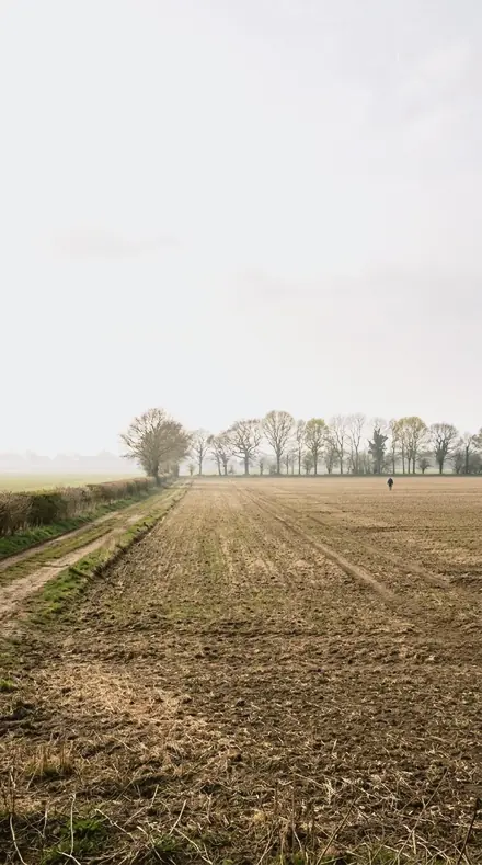 Ski Noon applied to field mist