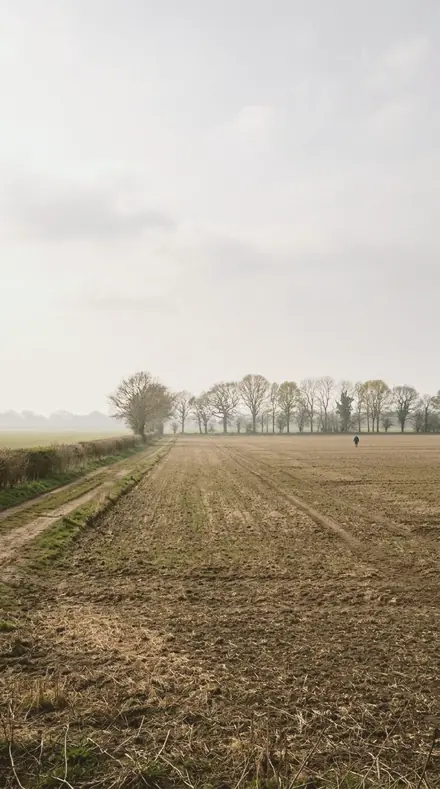 Fresh Powder applied to field mist