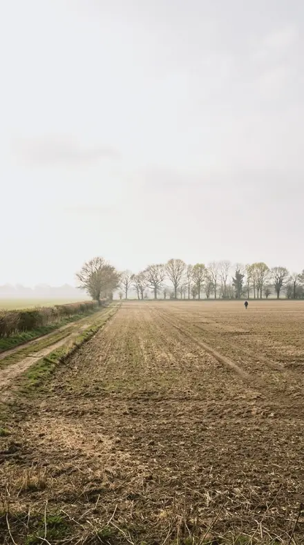 Ice Shade applied to field mist