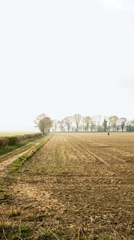 Snow Hold applied to field mist