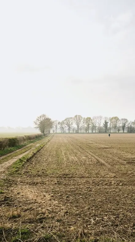 North Snow applied to field mist