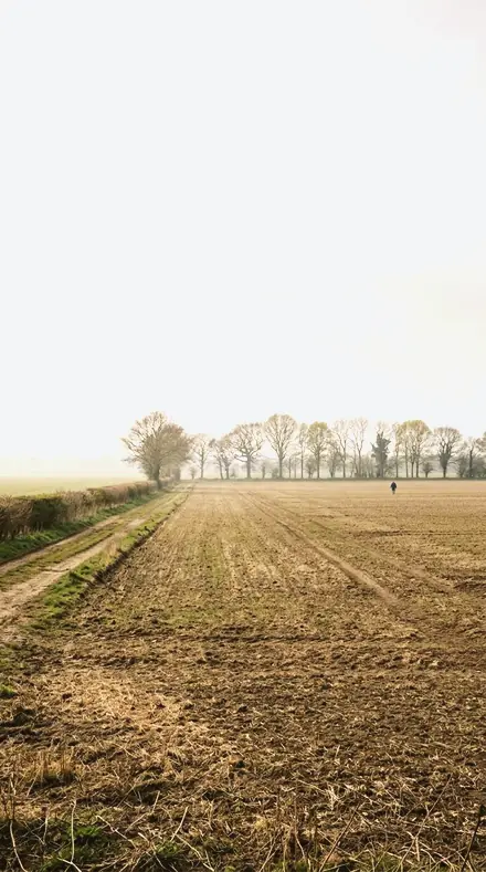 Thaw Light applied to field mist